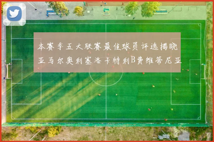 本赛季五大联赛最佳球员评选揭晓亚马尔奥利塞洛卡特利B费维蒂尼亚入围